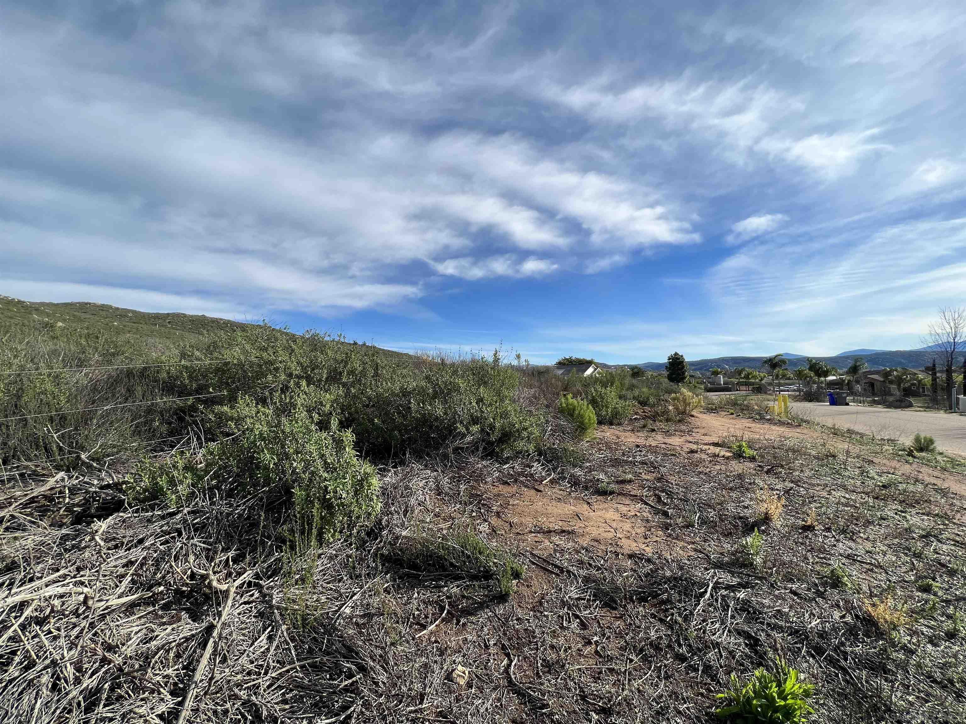 0 Quail Meadow Road Ramona, CA 92065 - Photo 13 of 26 a view of a forest with trees in the background