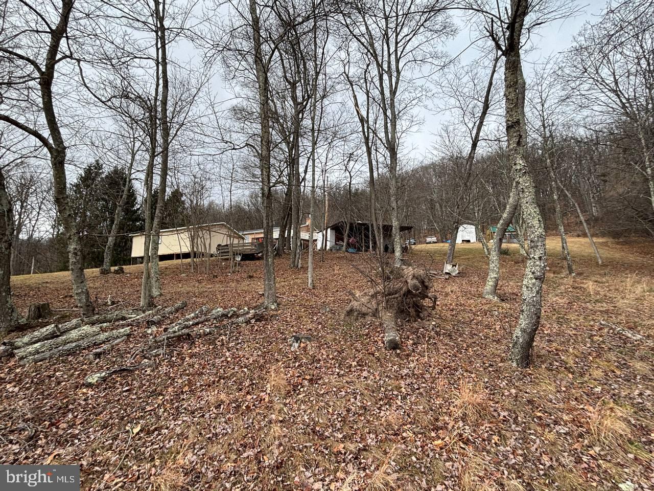 6395 Springfield Pike Points, WV 25437 - Photo 25 of 25