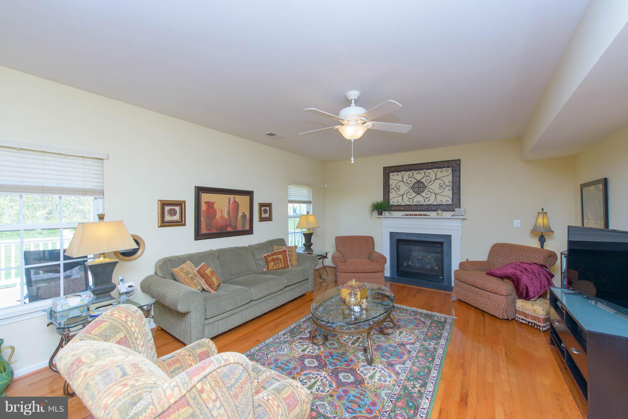 48 Haverhill Road Joppa, MD 21085 - Photo 11 of 30 Gas Fire Place.