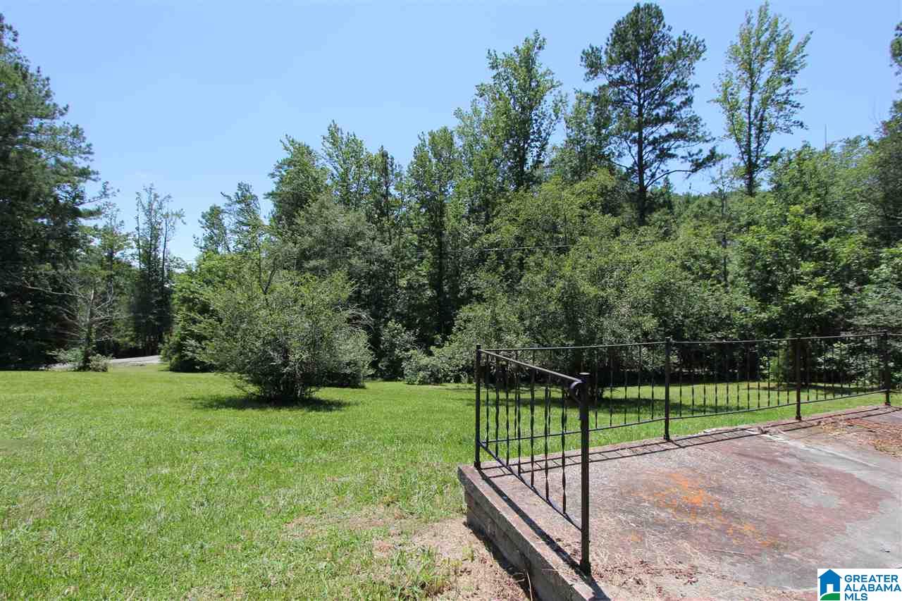 4363 Old Sulphur Springs Road Wellington, AL 36279 - Photo 22 of 37