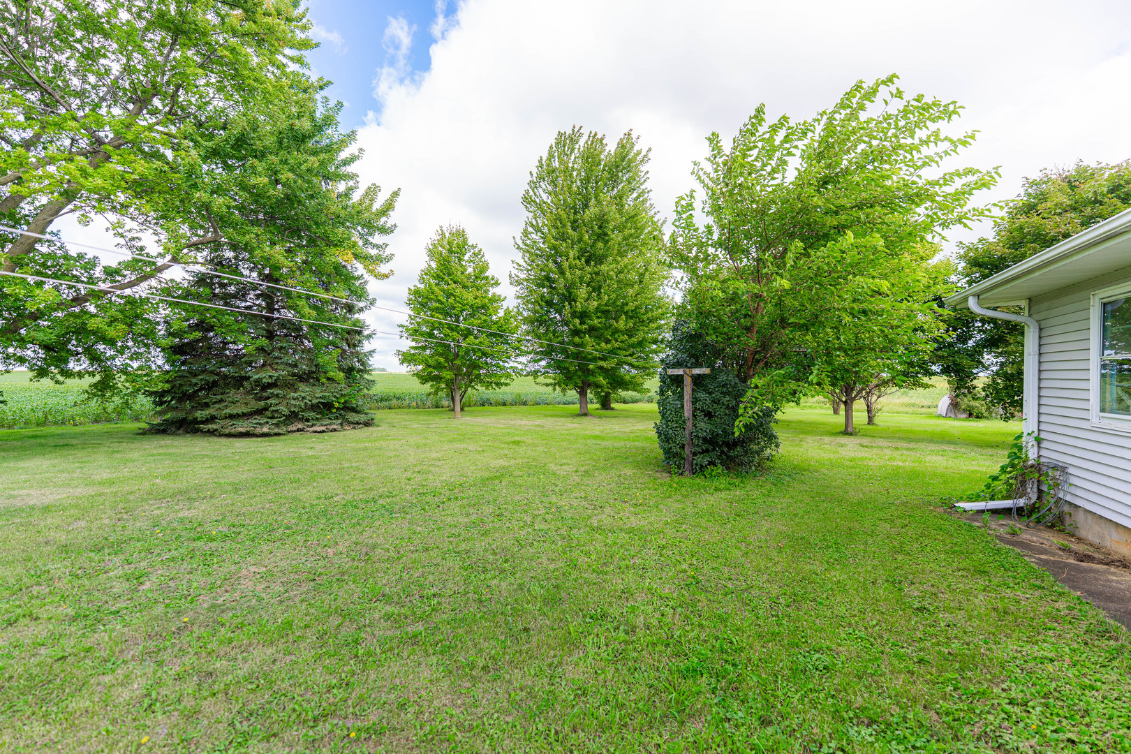 50W762 Ramm Road Maple Park, IL 60151 - Photo 28 of 37 a huge green field with lots of trees
