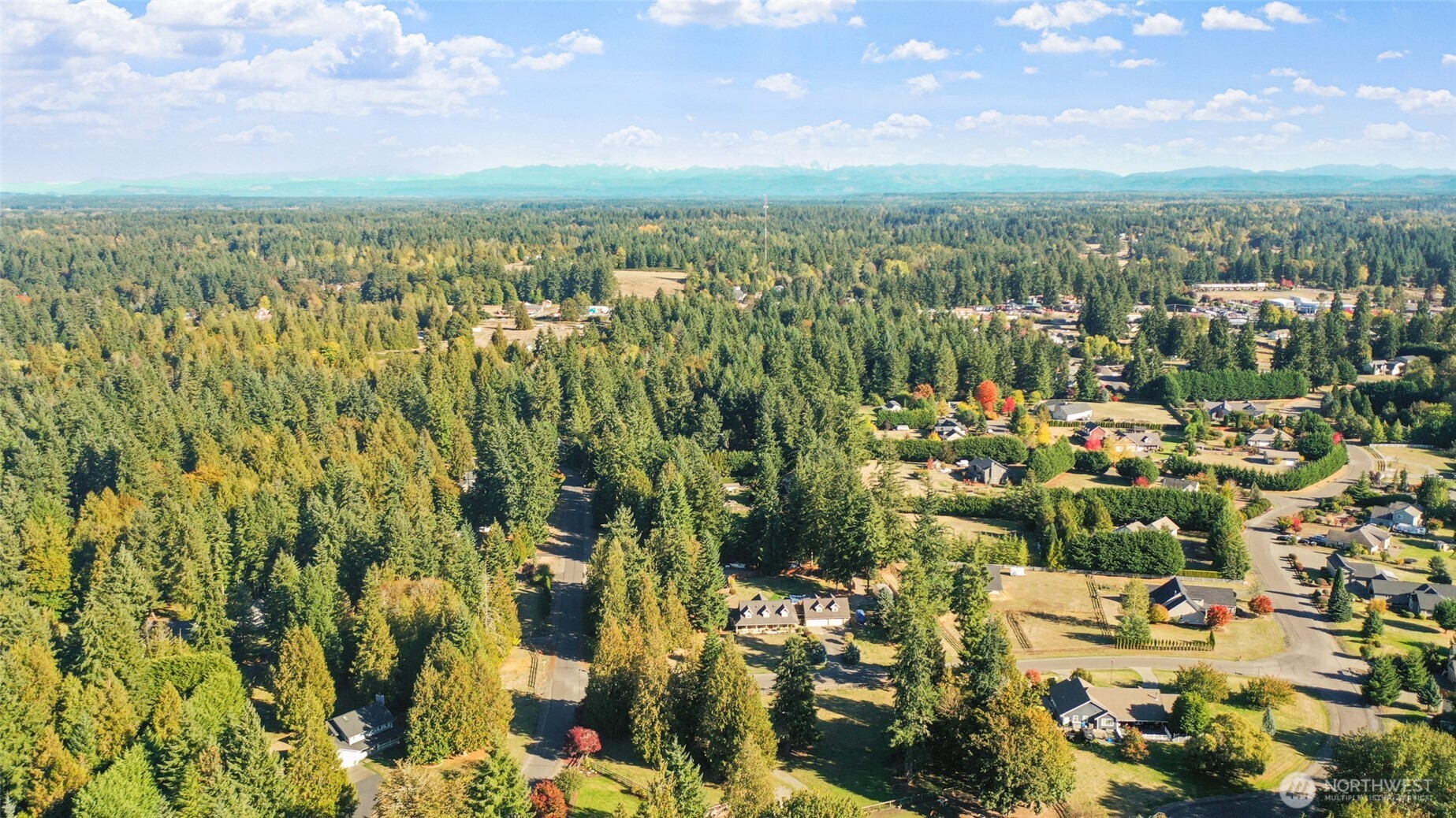 34307 102nd Avenue South Roy, WA 98580 - Photo 36 of 38