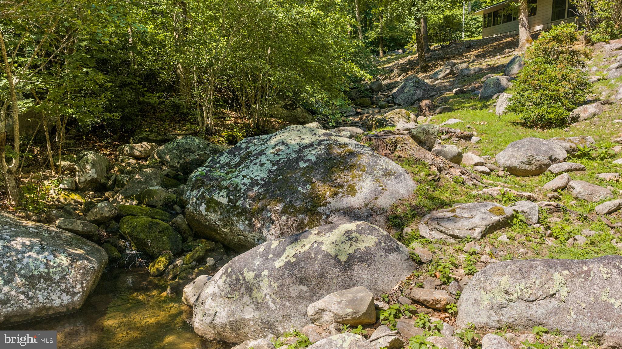 1319 Champe Plain Road Etlan, VA 22719 - Photo 5 of 63 Gorgeous Stream through the property