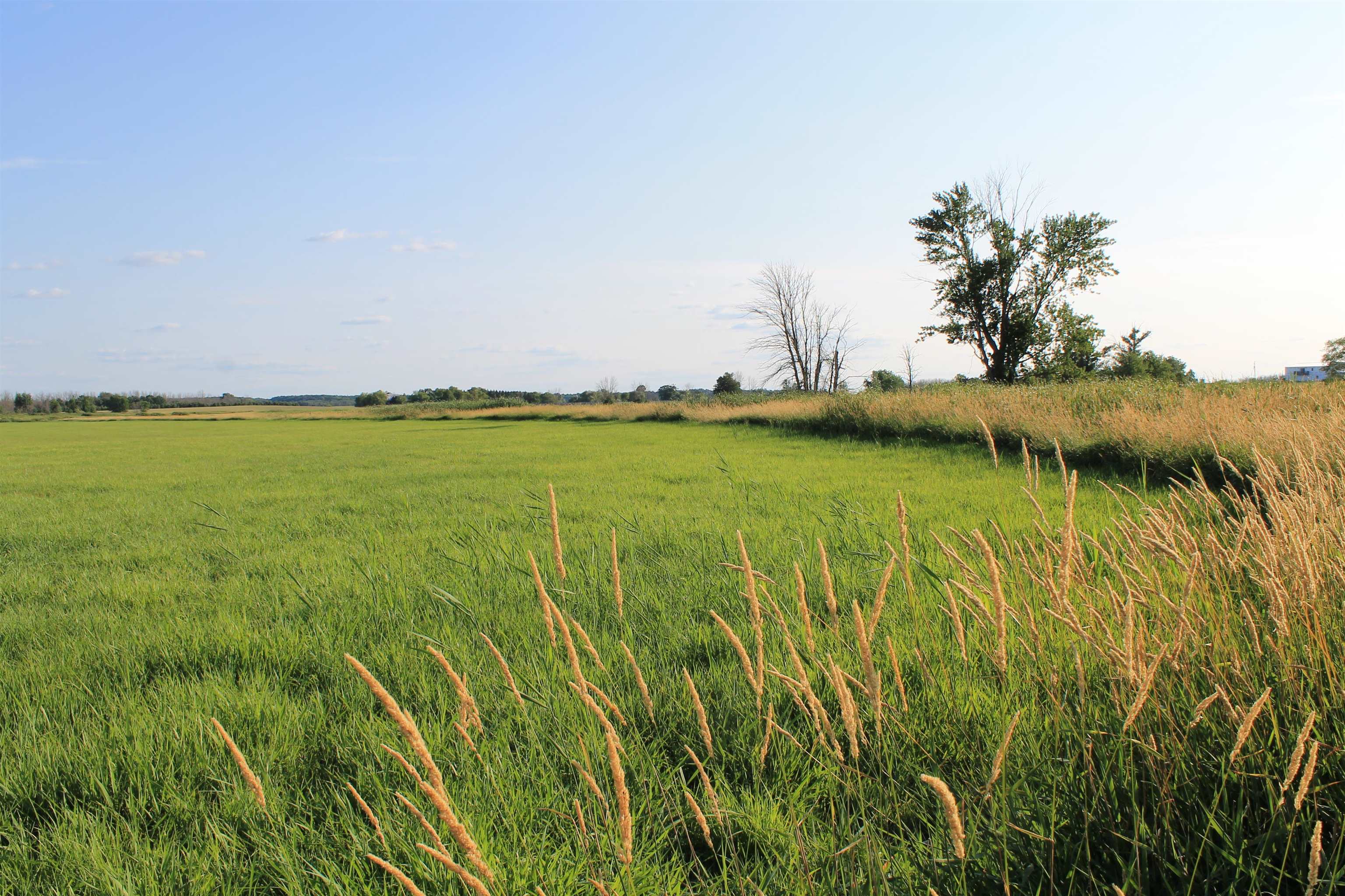 Cty Road Reedsville, WI 54230 - Photo 16 of 29 Gallery Image 16
