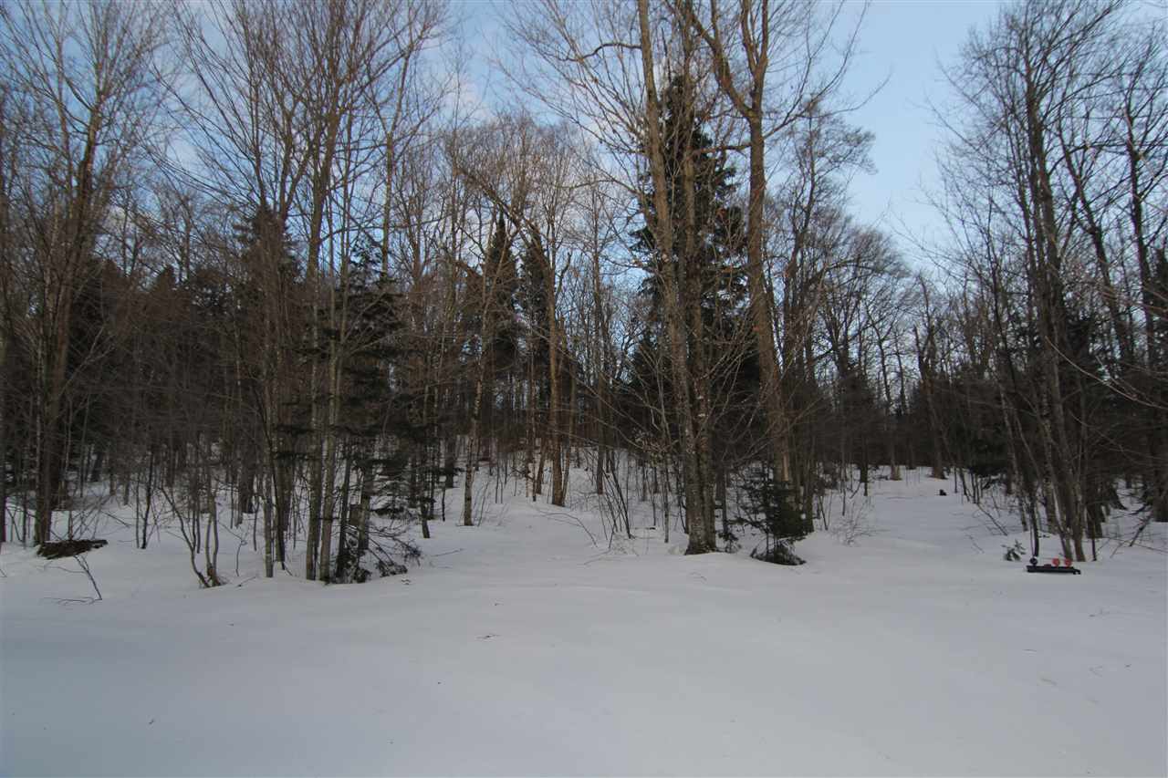 82 Rogers Pond Road Pittsburg, NH 03592 - Photo 4 of 37