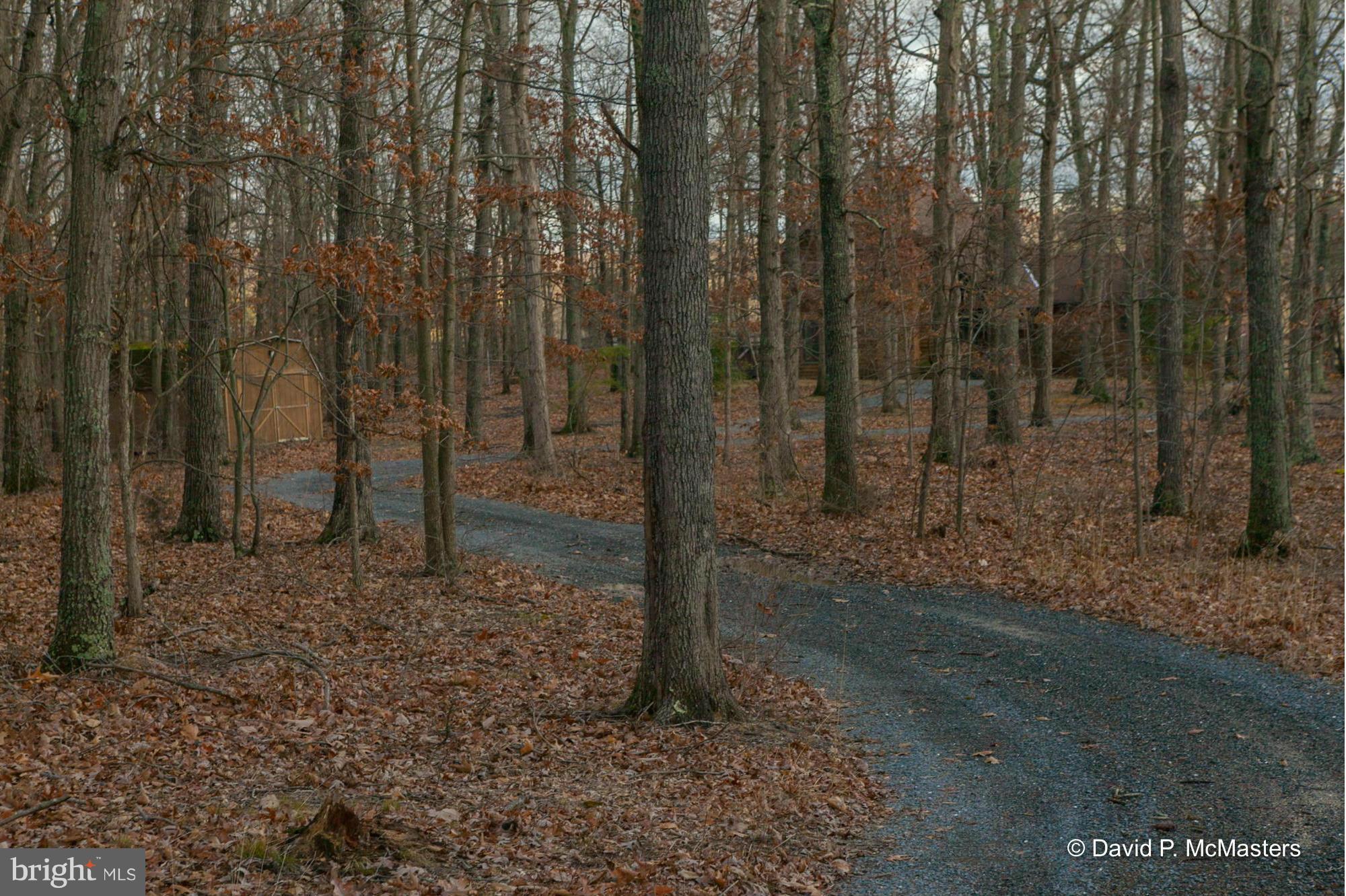 412 Hunting Road Winchester, VA 22603 - Photo 21 of 22 LOVELY TREE LINED DRIVE TO HOUSE