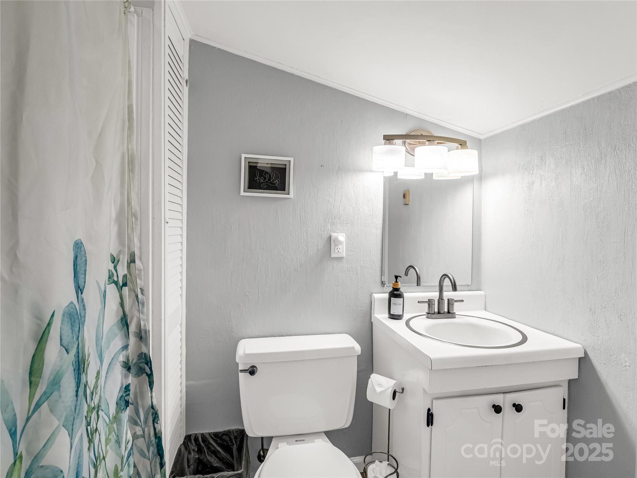486 Oxford Road Lake Junaluska, NC 28745 - Photo 26 of 35 a bathroom with a sink a toilet and mirror