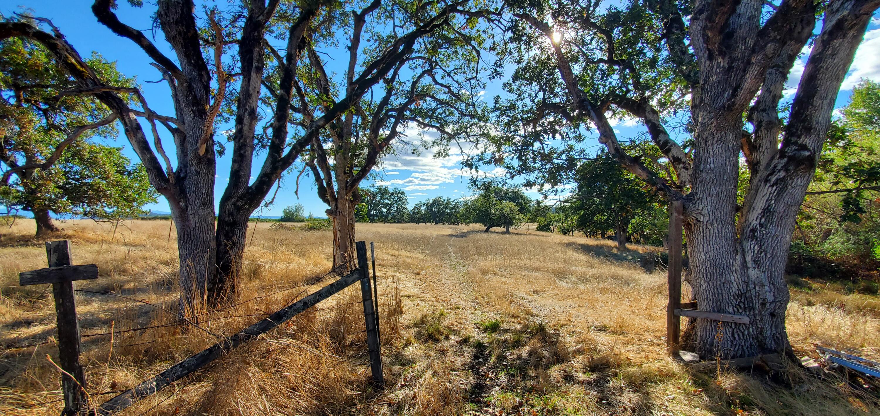 1501 Hammel Road Eagle Point, OR 97524 - Photo 23 of 34 20220929_163607