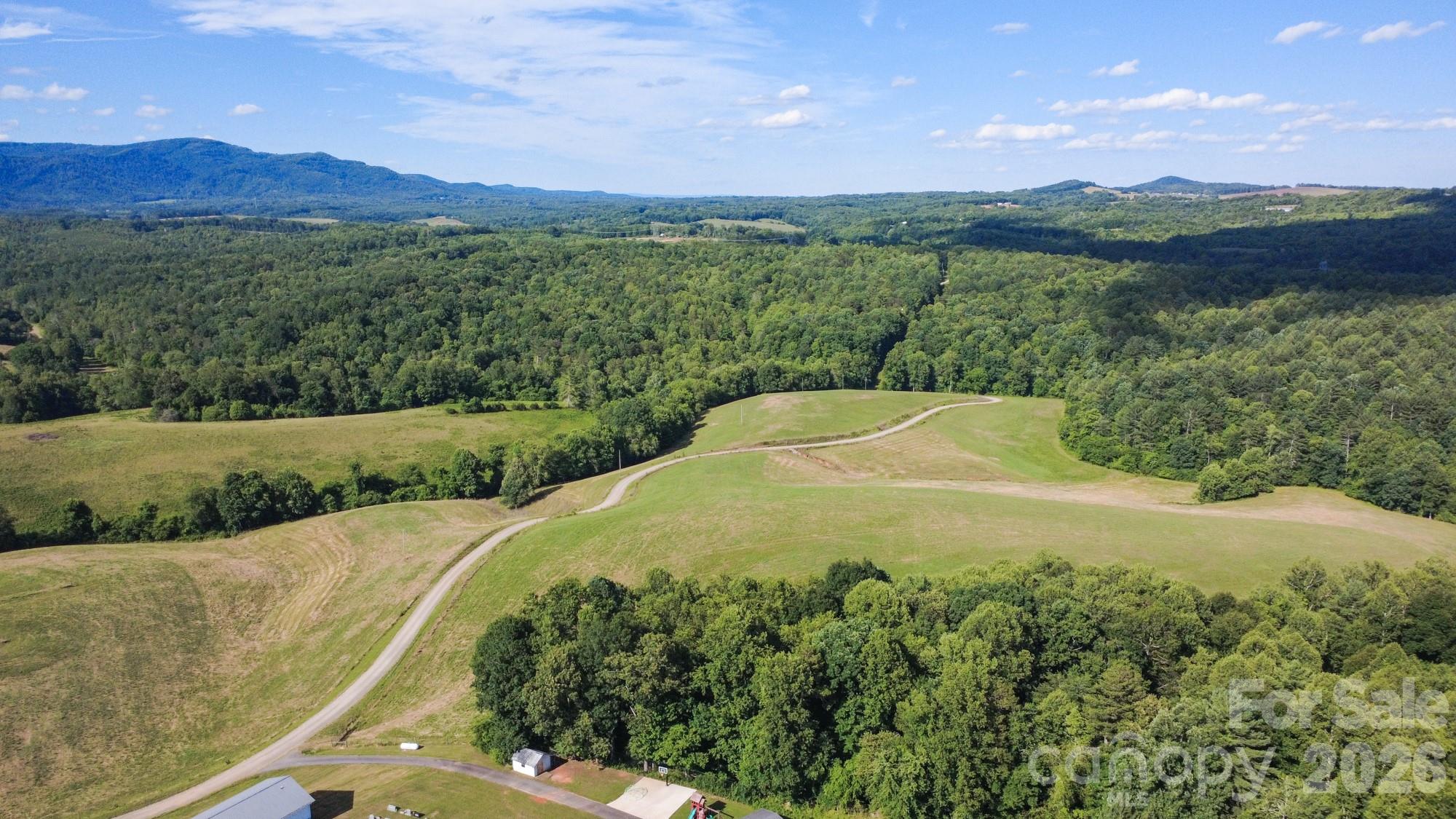 1779 Roundhill Church Road Traphill, NC 28685 - Photo 8 of 42