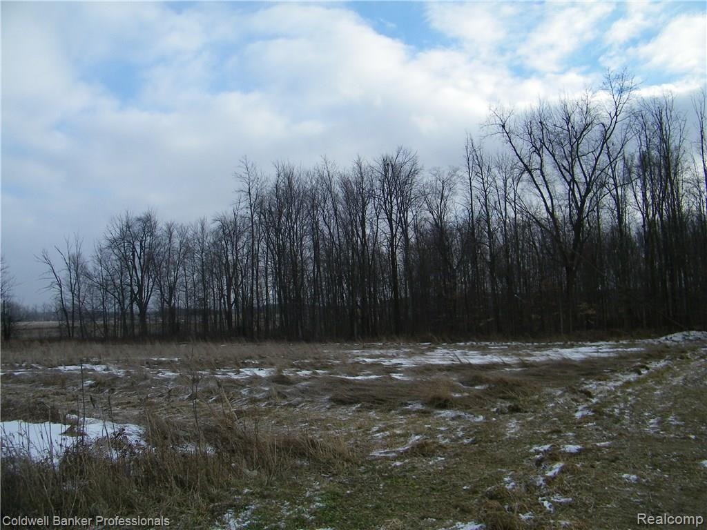 1 North Branch Rd Branch Fostoria, MI 48435 - Photo 1 of 5
