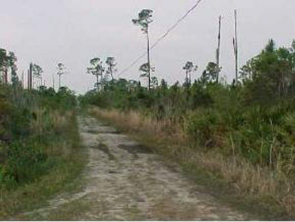 0 Johnson Gandy Road Mims, FL 32754 - Photo 1 of 1 Primary Photo