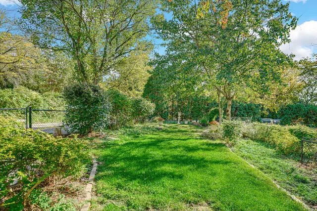 a green field with lots of trees in it