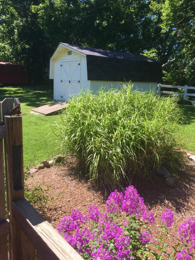 622 Meadow Road Mount Pleasant, TN 38474 - Photo 5 of 9 Gallery Image 5