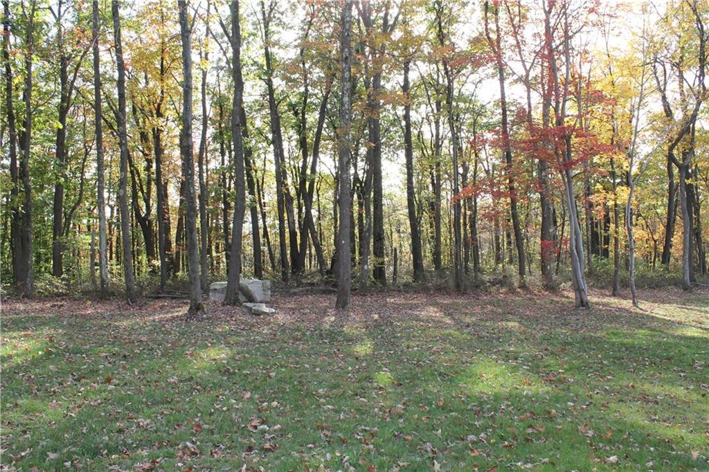 4 Skyview Road Donegal, PA 15628 - Photo 6 of 13 This one whole side of the lot is bordered by Forbes State Forest.