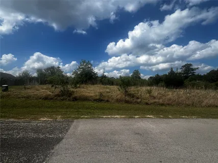 a view of a yard