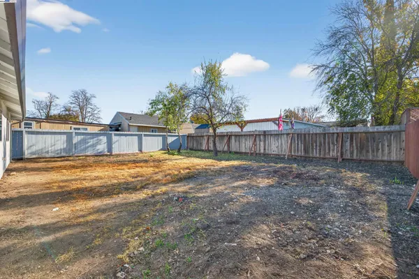 a view of a backyard with trees