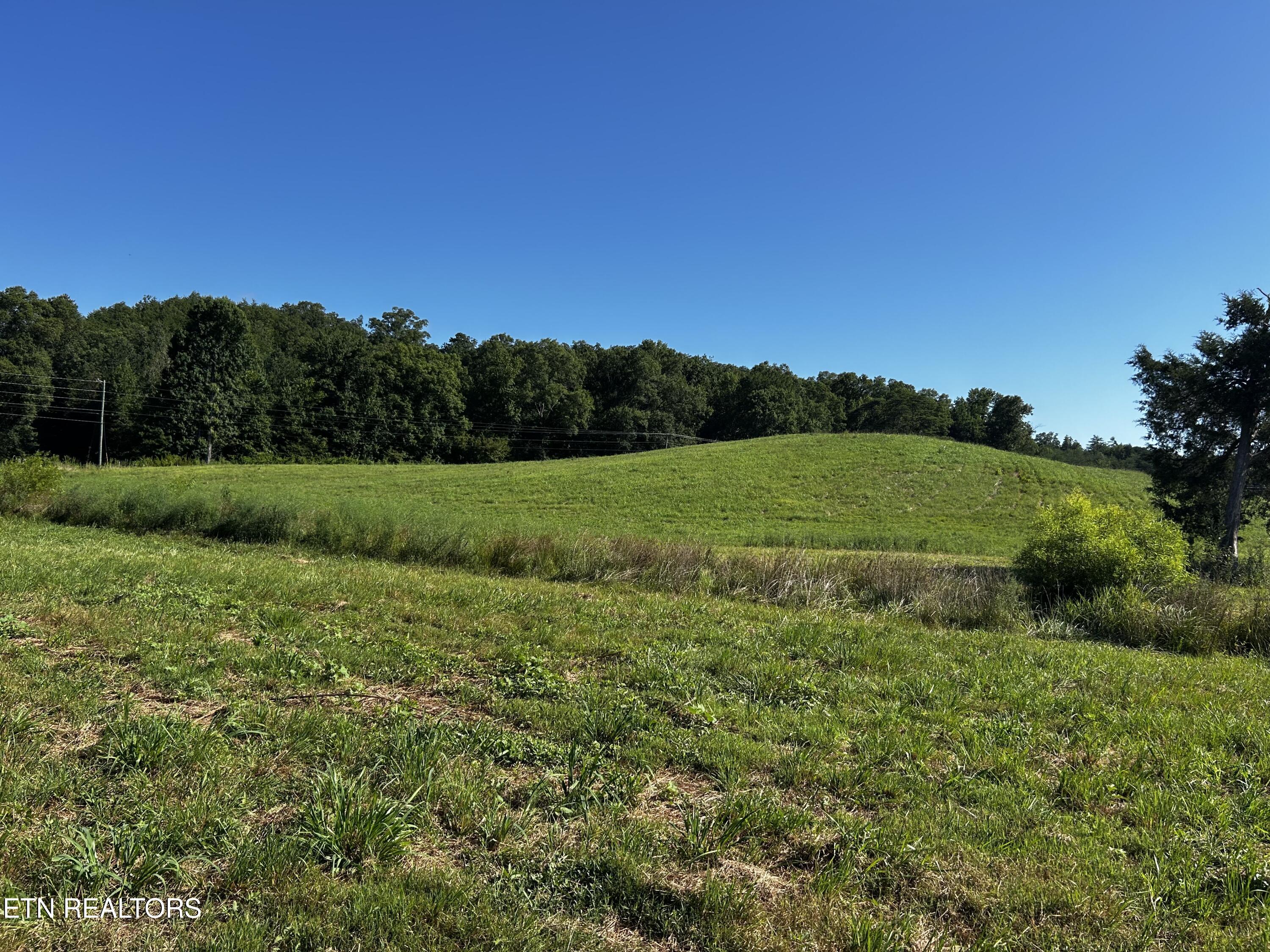 Lot 3 Reliance Road Tellico Plains, TN 37385 - Photo 1 of 3 IMG_6927
