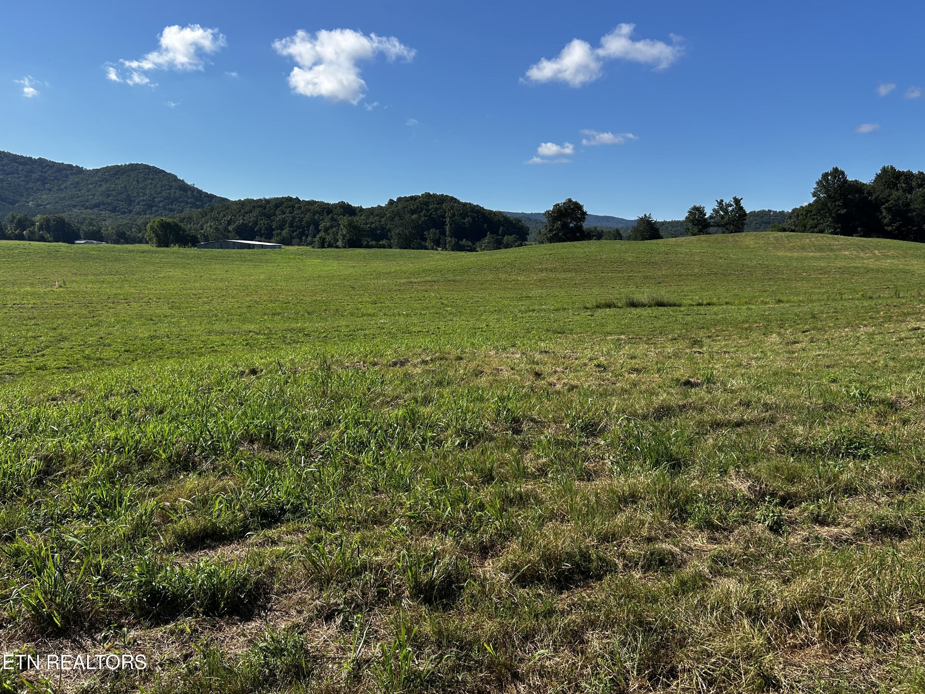Lot 3 Reliance Road Tellico Plains, TN 37385 - Photo 2 of 3 IMG_6926