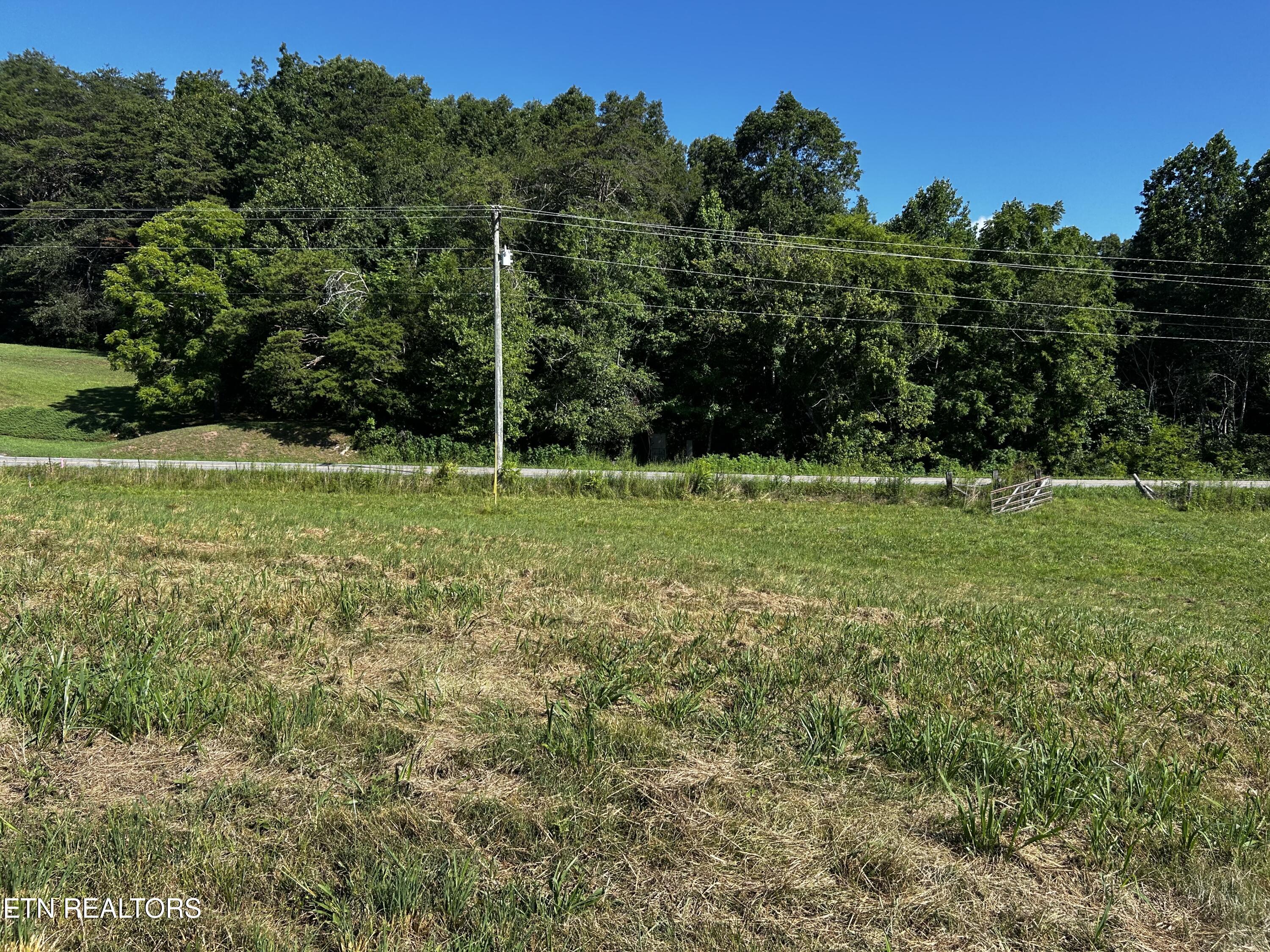 Lot 3 Reliance Road Tellico Plains, TN 37385 - Photo 3 of 3 IMG_6925