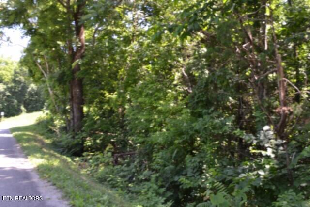 2390 Pea Ridge Fire Tower Road Celina, TN 38551 - Photo 42 of 58 DSC_0135