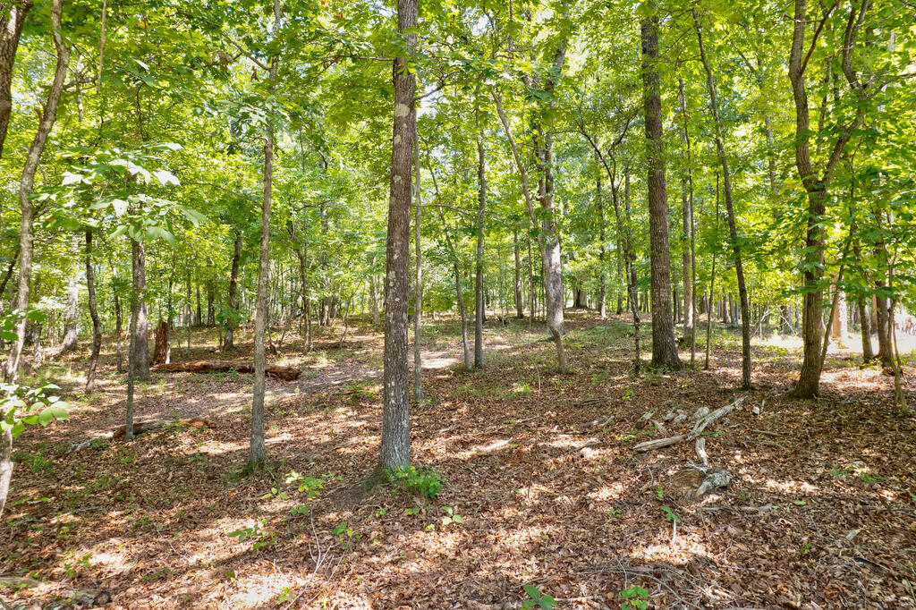 3828 James Ed Road Gainesville, GA 30506 - Photo 10 of 16 Gallery Image 10