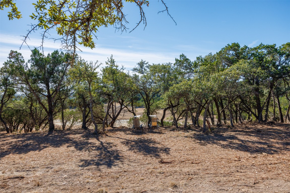 78 Dodder Lane Spring Branch, TX 78070 - Photo 2 of 24 View of local wilderness