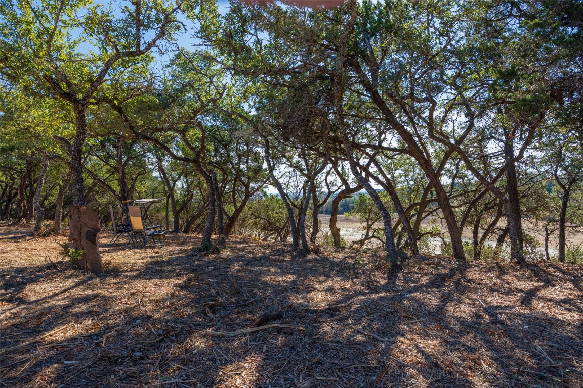 78 Dodder Lane Spring Branch, TX 78070 - Photo 4 of 24 View of undeveloped land