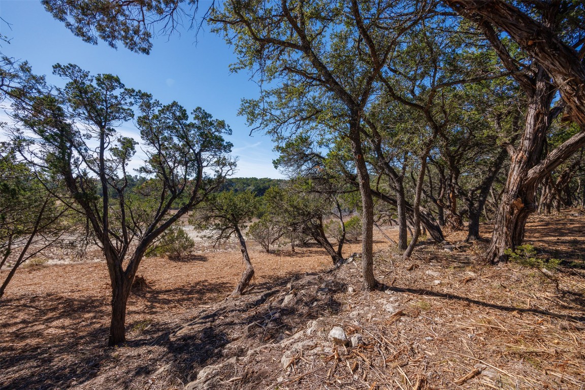 78 Dodder Lane Spring Branch, TX 78070 - Photo 6 of 24 View of nature