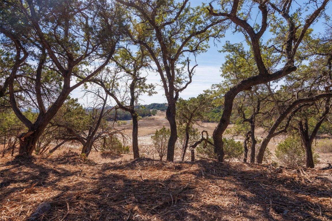 78 Dodder Lane Spring Branch, TX 78070 - Photo 8 of 24 View of undeveloped land