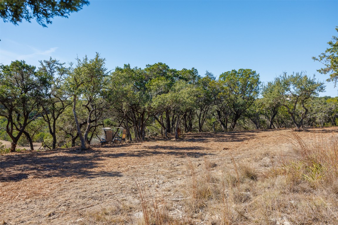 78 Dodder Lane Spring Branch, TX 78070 - Photo 9 of 24 View of undeveloped land