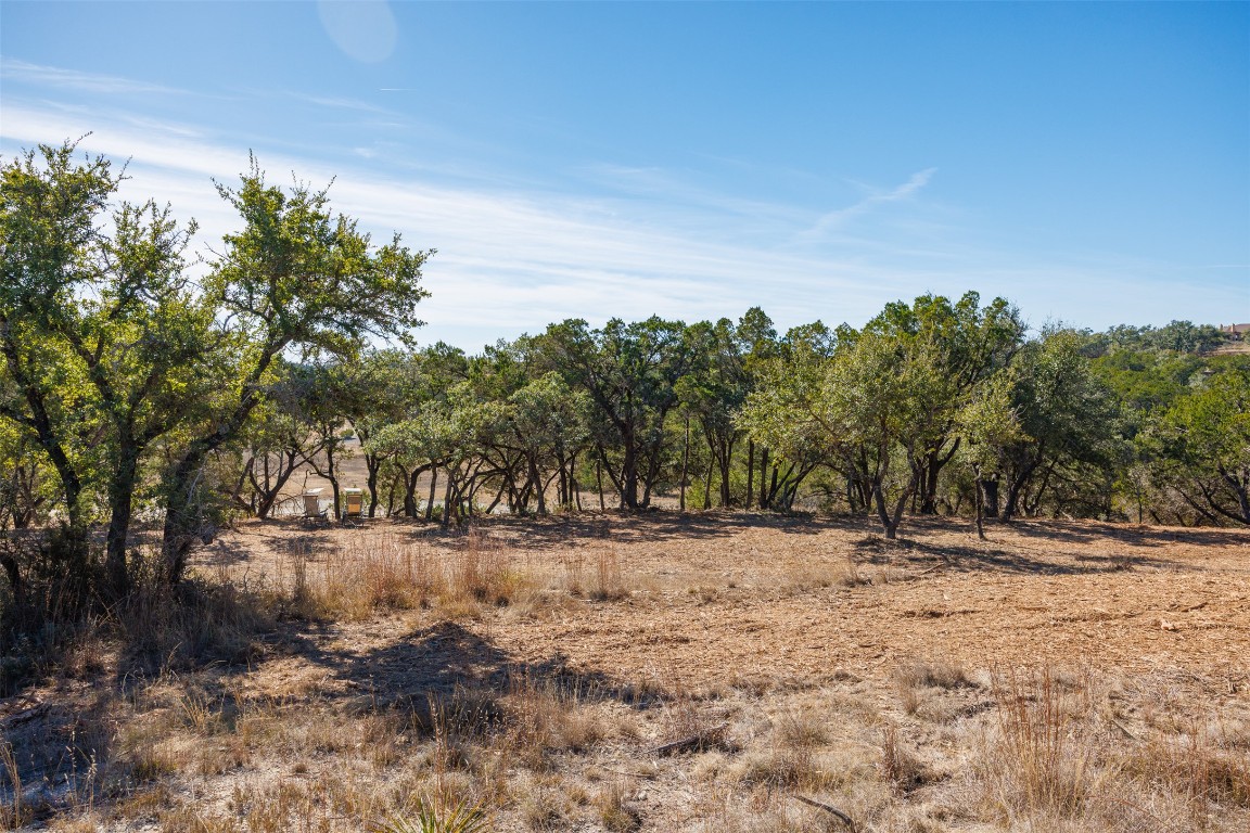 78 Dodder Lane Spring Branch, TX 78070 - Photo 10 of 24 View of undeveloped land with rural landscape