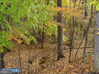3295 Funks Mill Road Riegelsville, PA 18077 - Photo 3 of 6 View