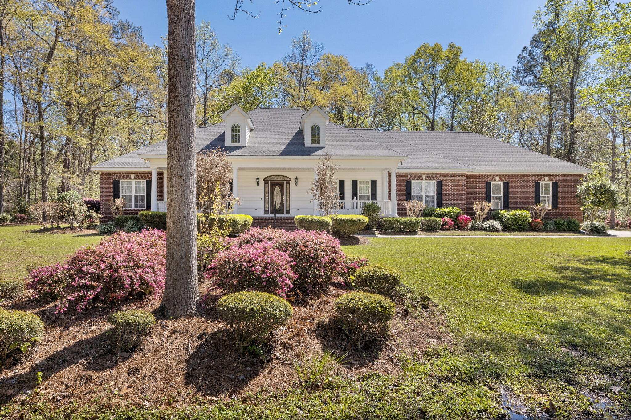 301 County Rd S-18-458 Summerville, SC 29485 - Photo 6 of 56 301 Woodland Dr