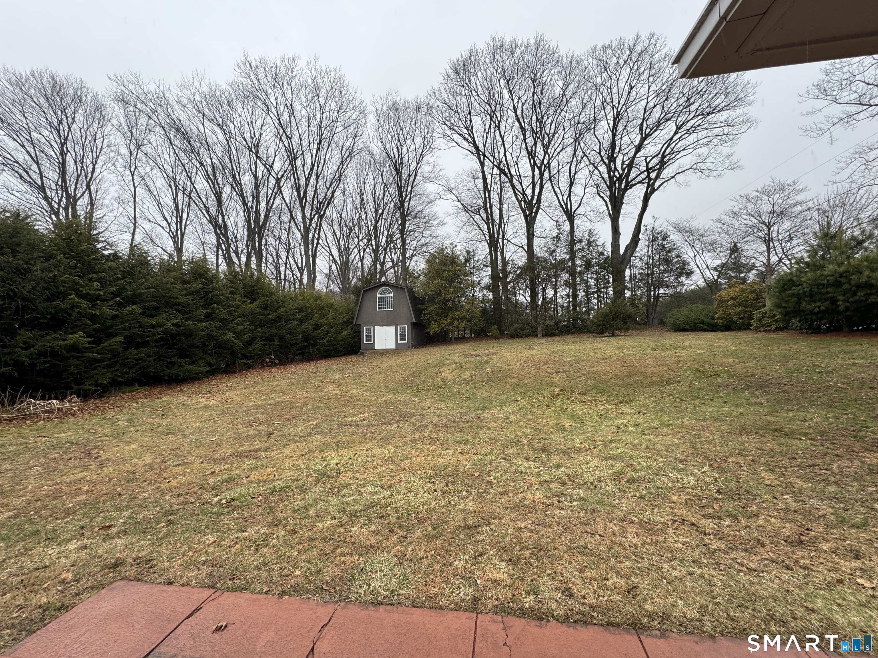 90 Larchmont Avenue Waterbury, CT 06708 - Photo 21 of 26 a view of a yard with a trees