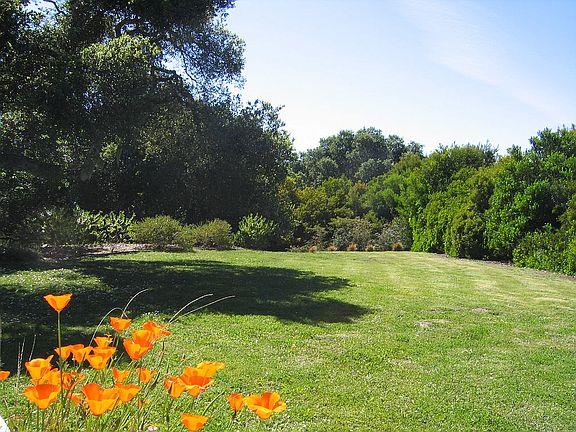 11394 Saddle Road Monterey, CA 93940 - Photo 22 of 33 a view of a trees with a yard