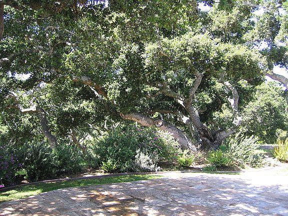 11394 Saddle Road Monterey, CA 93940 - Photo 24 of 33 a view of outdoor space and yard