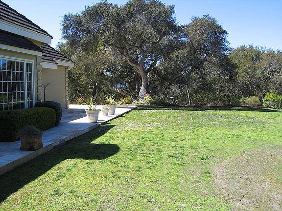 11394 Saddle Road Monterey, CA 93940 - Photo 25 of 33 a view of a backyard with garden