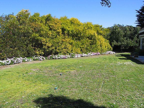 11394 Saddle Road Monterey, CA 93940 - Photo 26 of 33 a view of yard with green space
