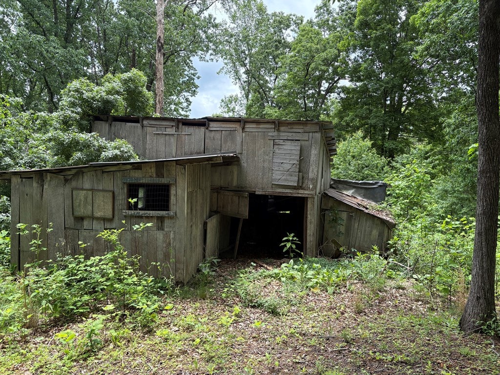 3195 Osborne Mountain Road Raven, VA 24639 - Photo 19 of 31 Gallery Image 19
