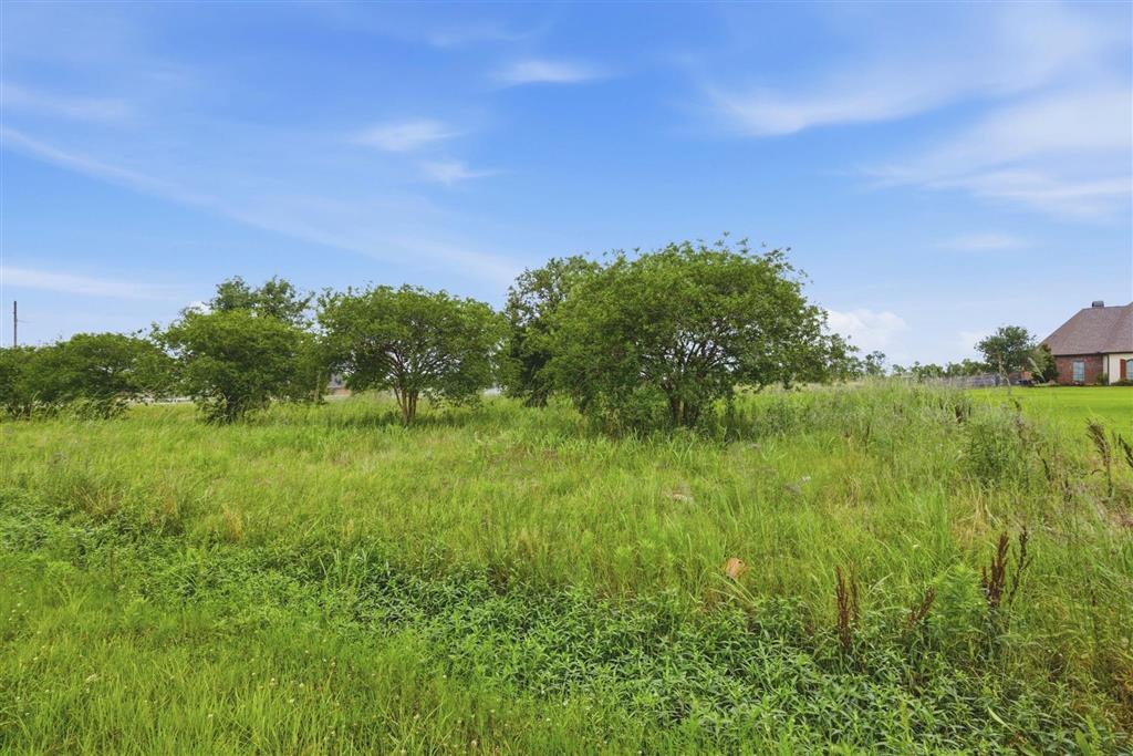24468 Gillson Road Iowa, LA 70647 - Photo 10 of 11