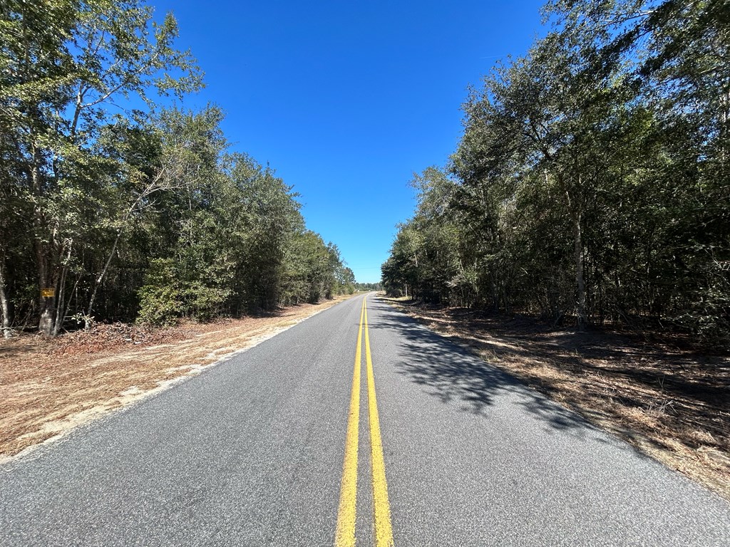 20-ac Coot Adams Road Ashford, AL 36312 - Photo 22 of 28