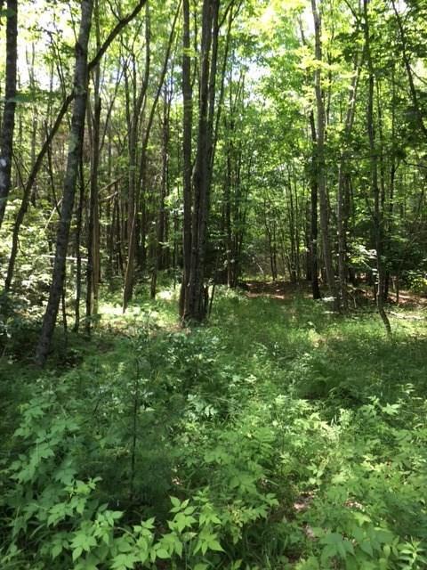 Lot 3 Dead River Road Bowdoin, ME 04287 - Photo 2 of 10 Photo