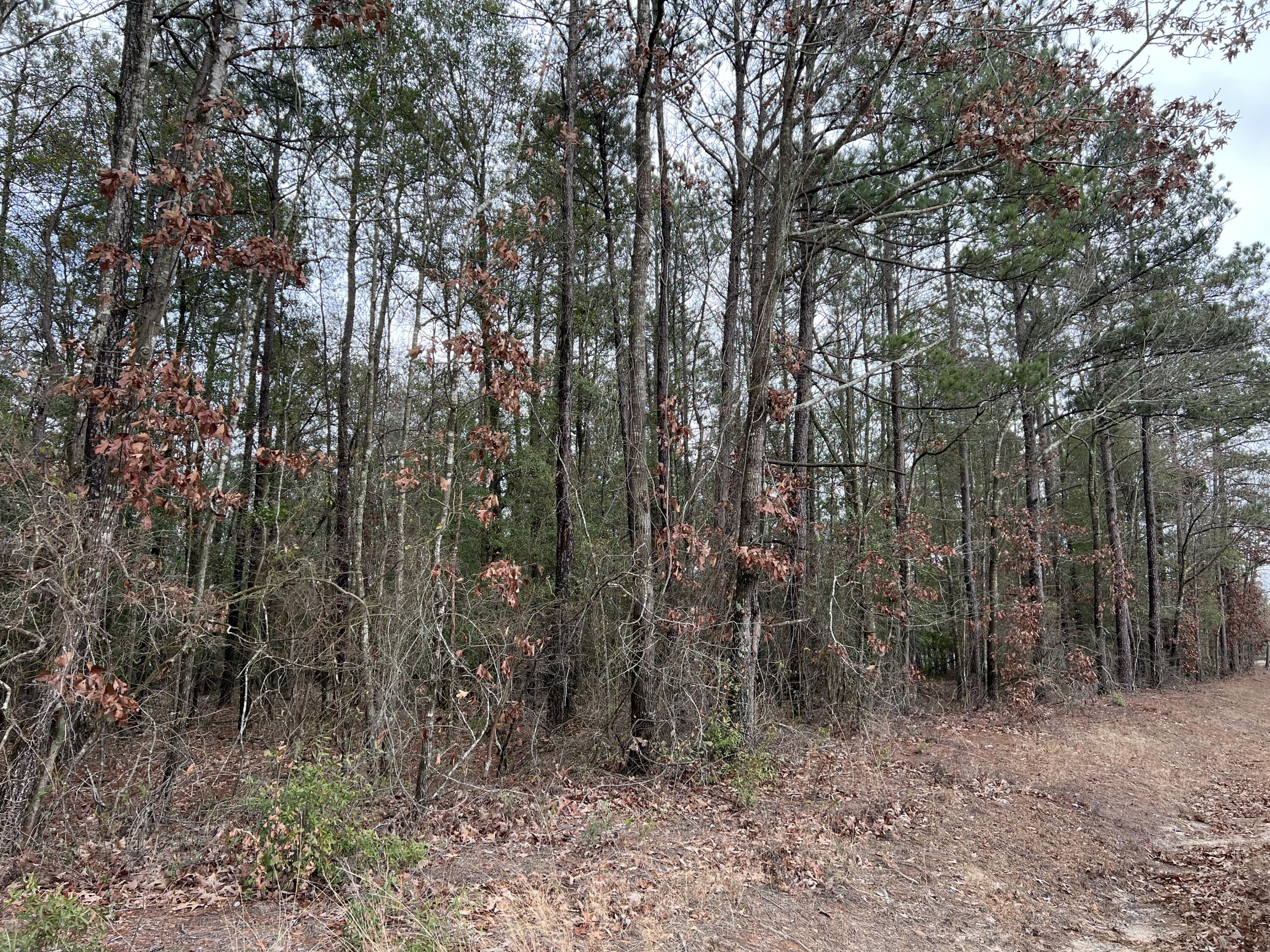 0 Green Pond Road Aiken, SC 29803 - Photo 1 of 6 IMG-5237