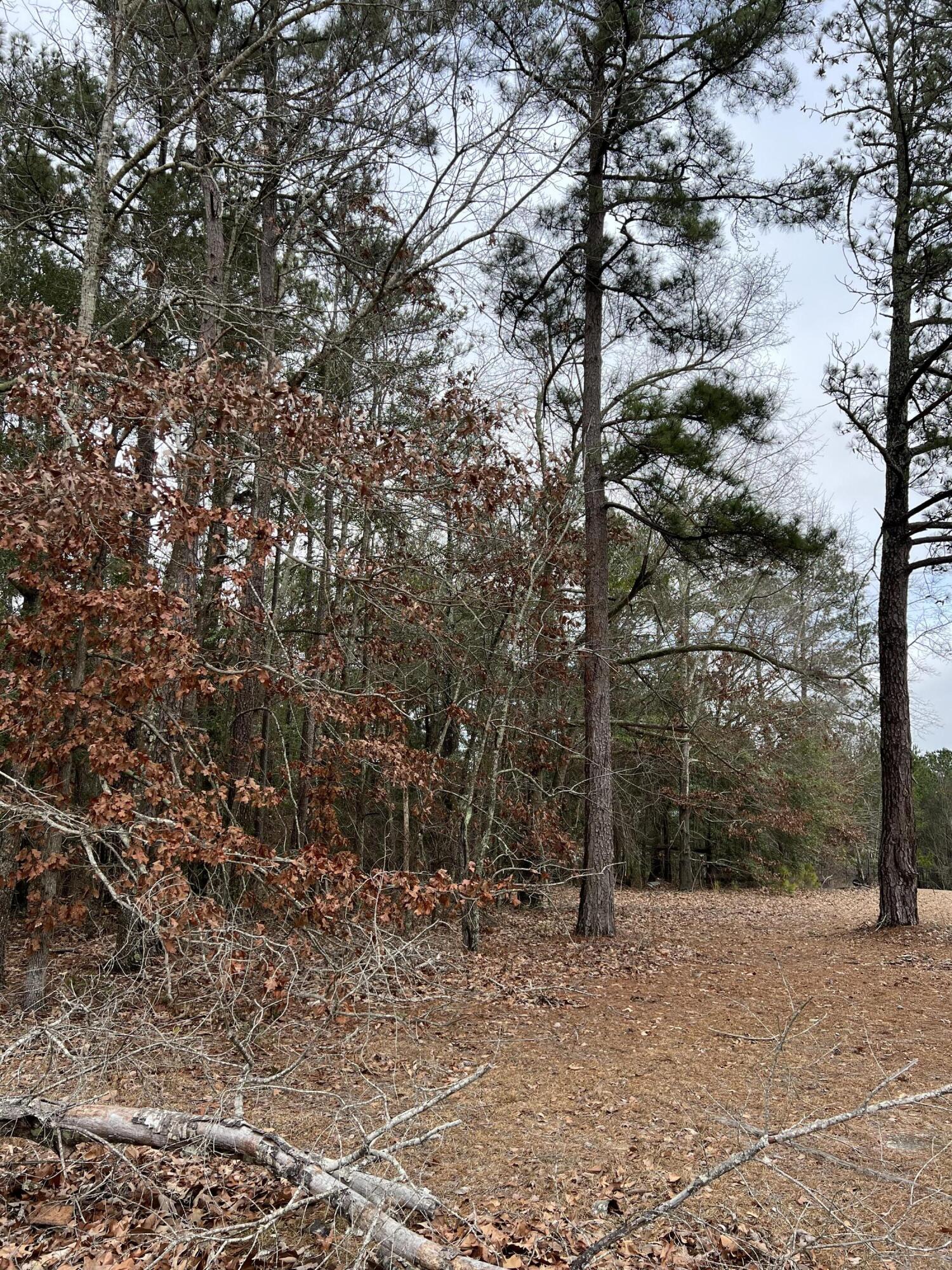 0 Green Pond Road Aiken, SC 29803 - Photo 2 of 6 IMG-5234