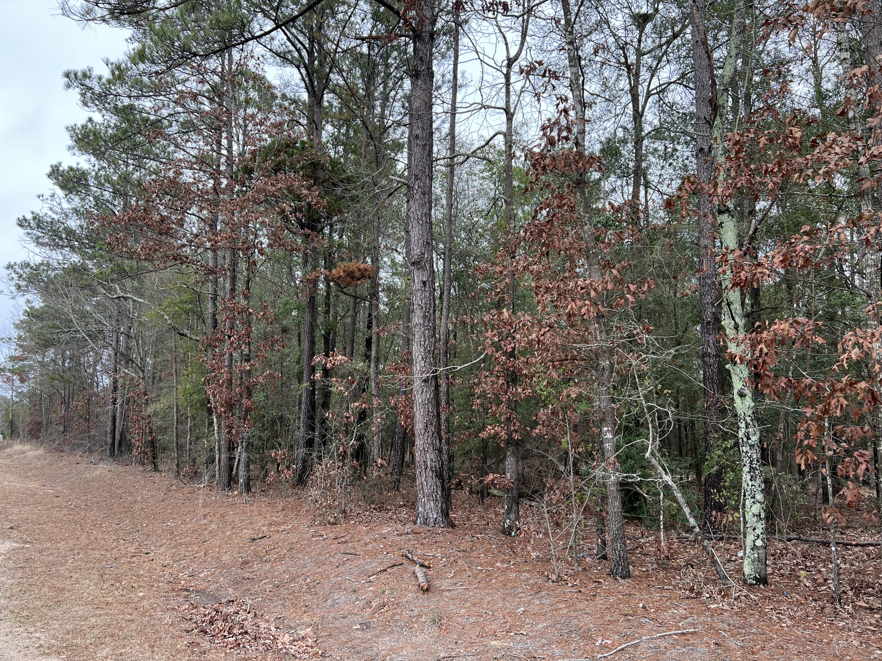 0 Green Pond Road Aiken, SC 29803 - Photo 3 of 6 IMG-5235