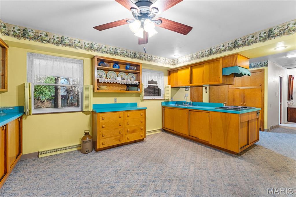 14 Carnation Drive Belleville, IL 62221 - Photo 18 of 42