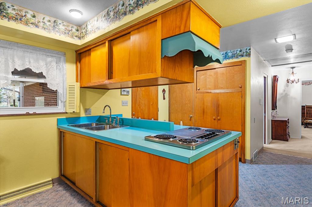 14 Carnation Drive Belleville, IL 62221 - Photo 22 of 42