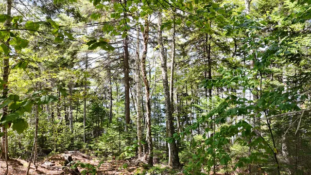 $850,000 | Lot 30 Wayne Avenue, Greenville, ME 04441