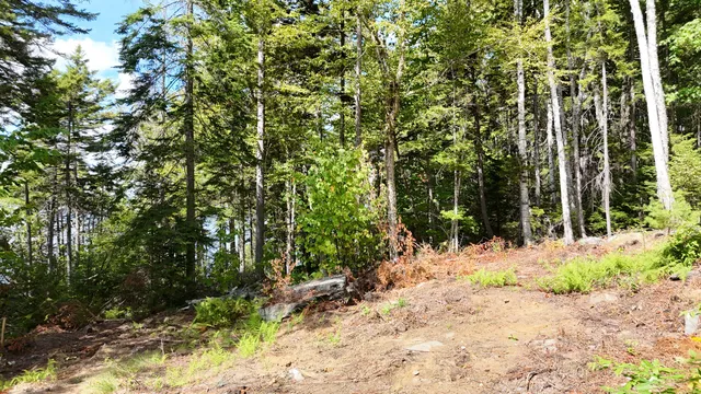 $850,000 | Lot 30 Wayne Avenue, Greenville, ME 04441