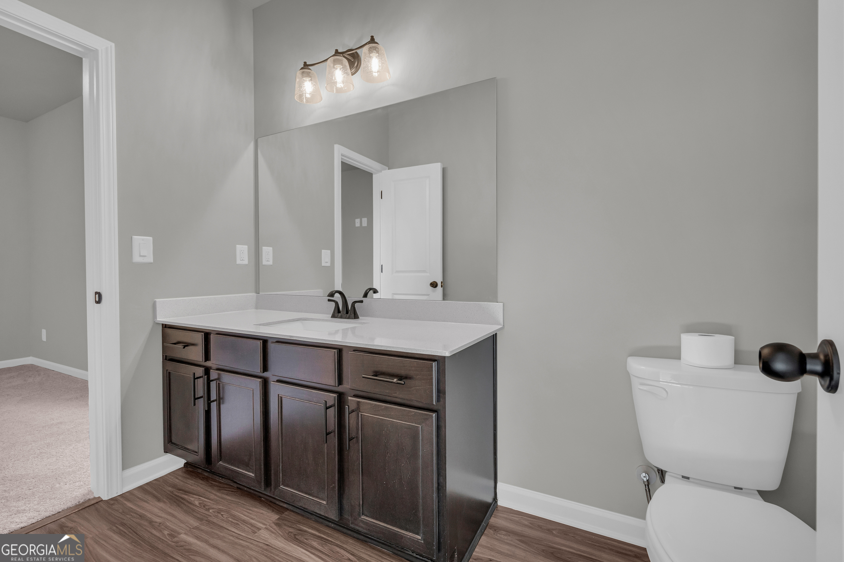174 Old Milltown Road Hartwell, GA 30643 - Photo 45 of 53 a bathroom with a toilet a sink a mirror and vanity